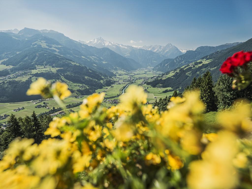 Apartmán Breierhof Zell am Ziller Pokoj fotografie
