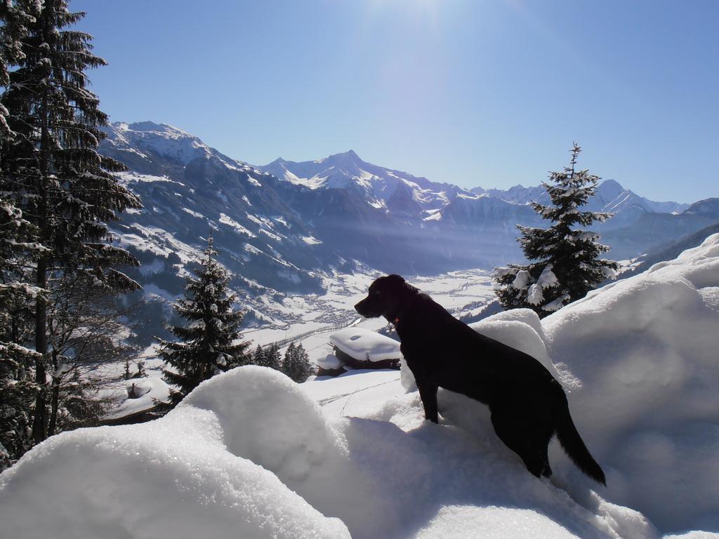 Apartmán Breierhof Zell am Ziller Exteriér fotografie